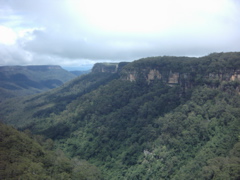 Morton National Park, NSW, Southern Highlands, Australia from Fitzroy Falls 2