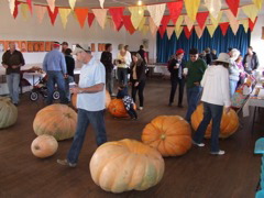 hall_pumpkins