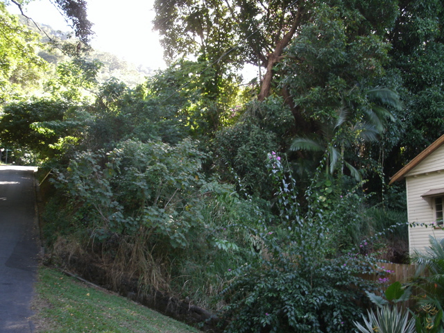 Cairns Streets near Airport 4.JPG