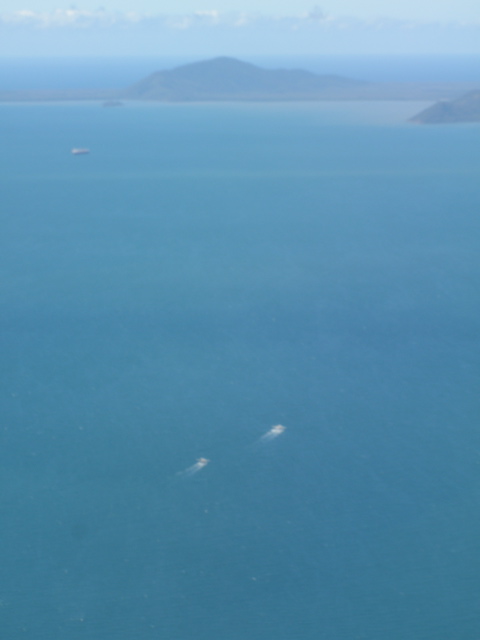 The Great Barrier Reef Near Cairns 4.JPG