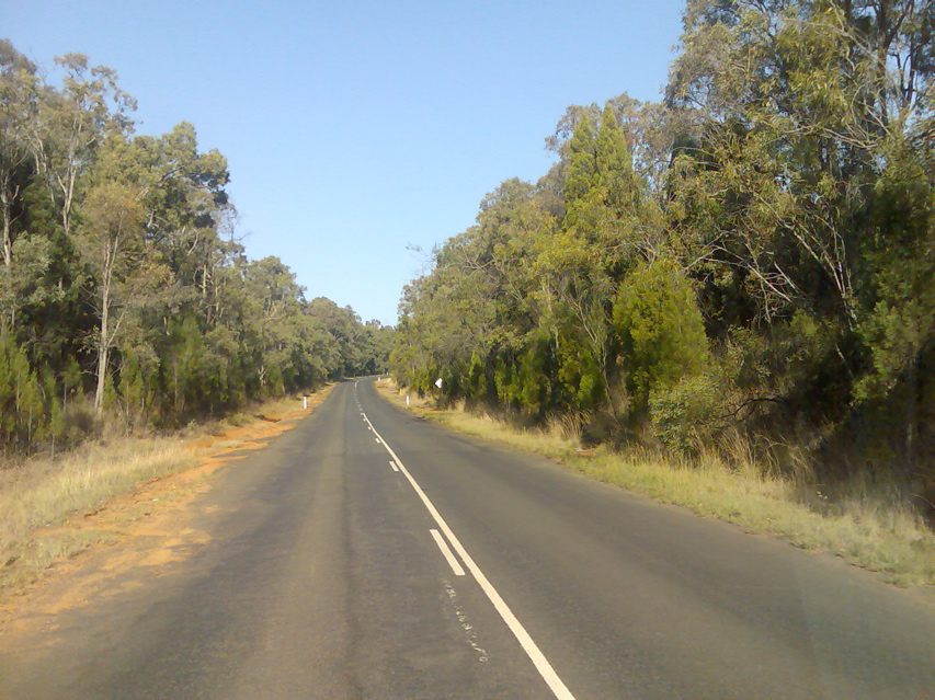 Pillaga-Coonabarabran49