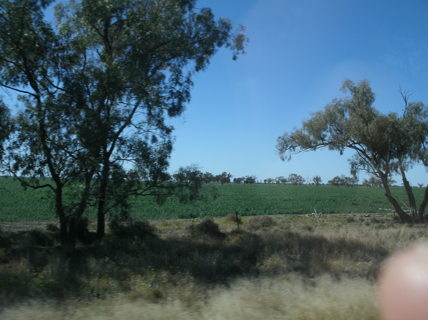 LightningRidge-Coonamble10.JPG