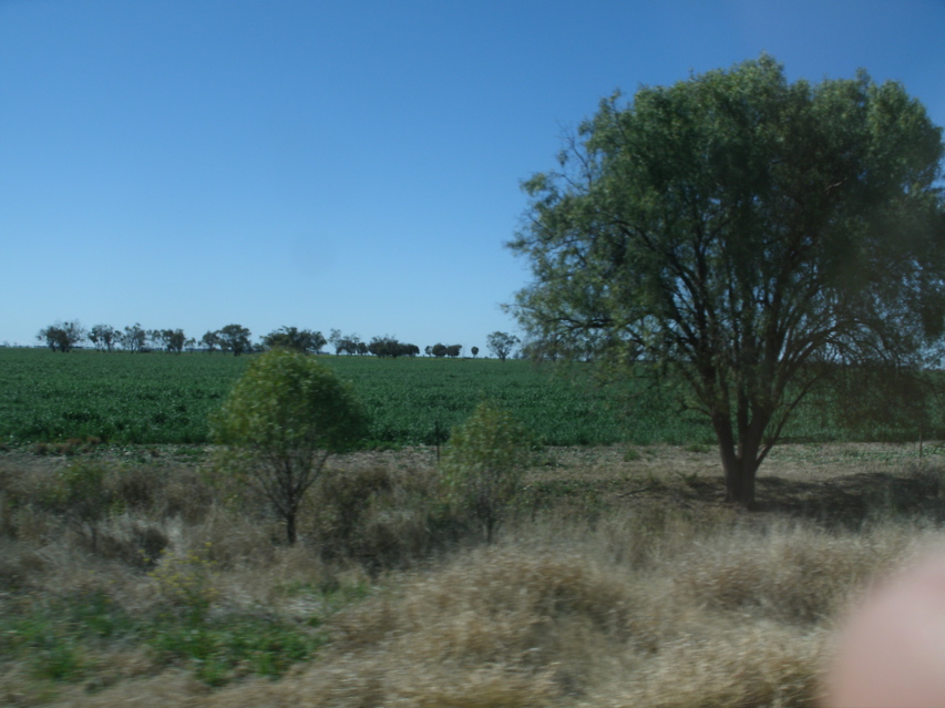 LightningRidge-Coonamble11.JPG