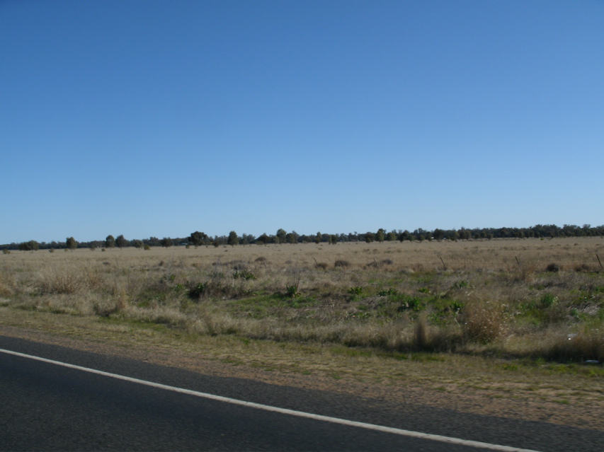 Coonamble-Gulargambone2.JPG