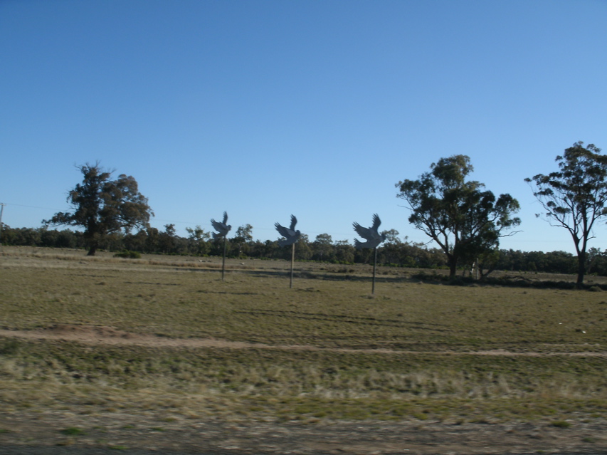 Gulargambone-Gilgandra2.JPG