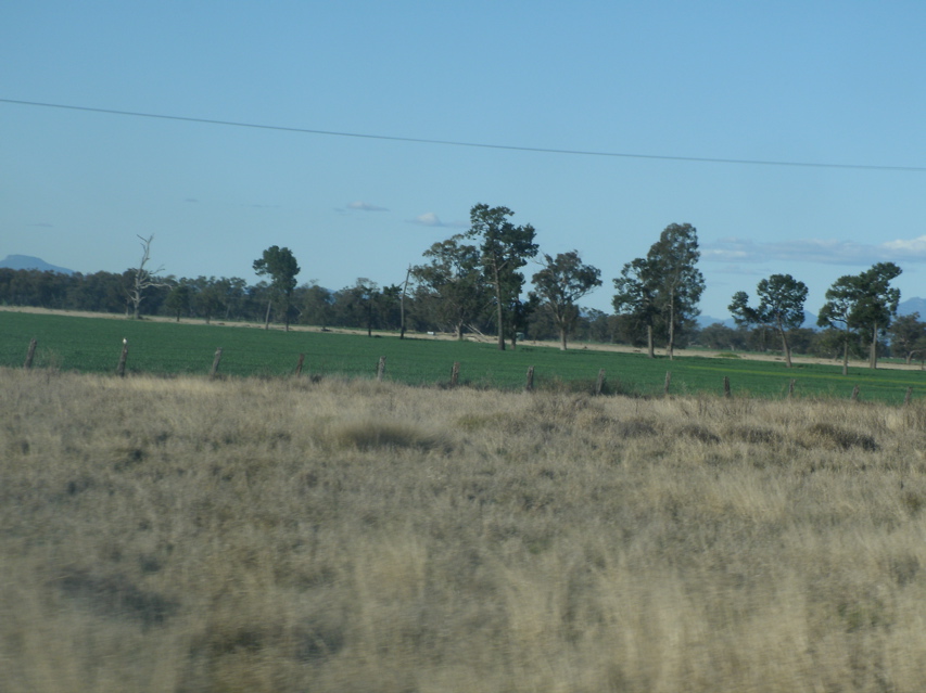 Gulargambone-Gilgandra2.JPG