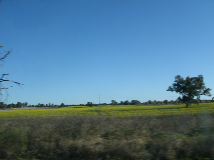 Gulargambone-Gilgandra15.JPG