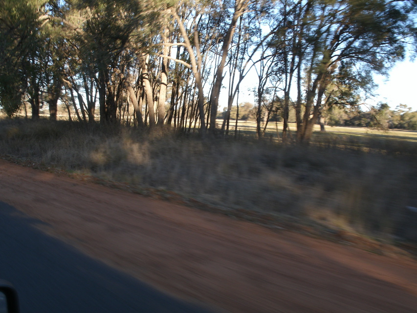 Gilgandra-Mendooran22.JPG