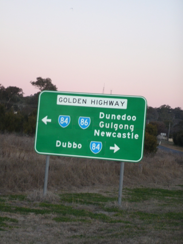 GoldenHGWYnearDunnedo.JPG