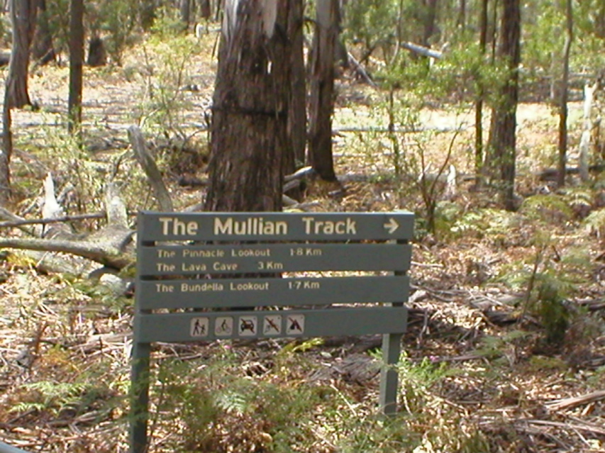 TheMullianTrack